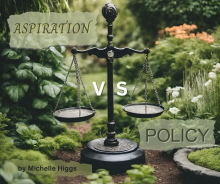 Aspiration vs. Policy